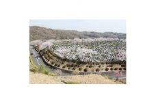 西多摩霊園　墓地購入(契約)のご利用券(150,000円分)【1515911】
