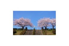 西多摩霊園　墓地購入(契約)のご利用券(450,000円分)【1515912】