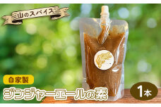 ＜スパイスカレー専門店/山のスパイス＞　自家製ジンジャーエールの素【1518372】