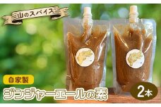 ＜スパイスカレー専門店/山のスパイス＞　自家製ジンジャーエールの素　2本セット【1521357】