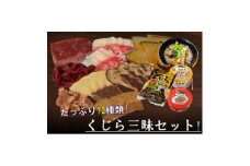 くじら三昧12種詰め合せセット【1512643】