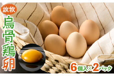 放牧烏骨鶏卵　6個入×2パック＜トリゾーファーム＞【1555485】