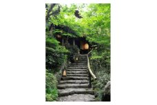 黒茶屋・燈々庵・風姿共通お食事券 10,000円【1536128】