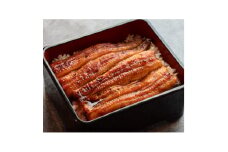 ＜創業50年の味付け＞うなぎ蒲焼き2人前セット(冷凍真空パック)【1574821】
