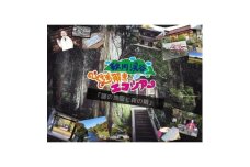 ＜秋川渓谷 謎解きエコツアー＞謎の地図と森の精　1名様分【1588079】
