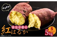 東京都産サツマイモ5kg(紅はるか)Sサイズ【1601471】