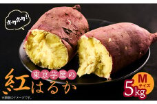 東京都産サツマイモ5kg(紅はるか)Mサイズ【1601473】