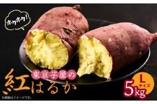 東京都産サツマイモ5kg(紅はるか)Lサイズ【1601474】