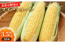 あきる野市産とうもろこし　10本(2025年7月中旬以降発送開始)【1623819】