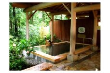 奥多摩温泉「もえぎの湯」無料招待券 3枚
