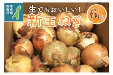 東京都 新島産 新玉ねぎ 6kg