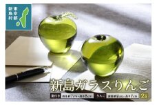 東京都新島産　新島ガラス　りんごペアセット