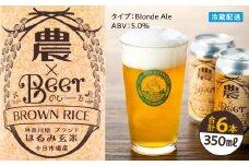 TDM 1874 Brewery　クラフトビール　農×Beer（のびーる）はるみ玄米（350ml×6本）【お酒・地ビール・酒】
