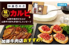加藤牛肉店　味付けカルビセット