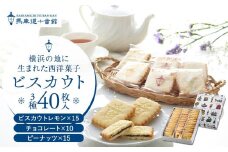 【馬車道十番館】ビスカウト40枚入り