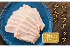 パンプアップチキン５個セット　計1.25kg｜肉 鶏肉 お肉 にく 神奈川 横浜