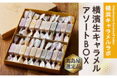 【横浜キャラメルラボ】横濱生キャラメル　アソートBOX20個入【高島屋選定品】