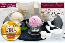 B:ハンデルスベーゲン無添加アイスクリーム/たっぷり入ったパイントサイズ2個入り（マカダミアキャラメルココナッツ・ベリーバイベリー） パーティー 家族 大容量 キャラメル ベリー ヨーグルト