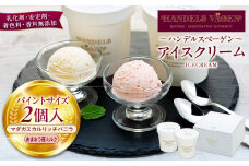 C:ハンデルスベーゲン無添加アイスクリーム/たっぷり入ったパイントサイズ2個入り（マダガスカルリッチバニラ・あまおう苺ミルク） パーティー 家族 大容量 バニラ あまおう 苺