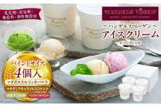 A:ハンデルスベーゲン無添加アイスクリーム/お得なパーティーセット！パイントサイズ４個入り（マダガスカルリッチバニラ・マカダミアキャラメルココナッツ・京都宇治抹茶・ベリーバイベリー）パーティー 家族 大容量 バニラ キャラメル 抹茶 ベリー ヨーグルト