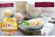 B:ハンデルスベーゲン無添加アイスクリーム/お得なパーティーセット！パイントサイズ４個入り（マダガスカルリッチバニラ・マカダミアキャラメルココナッツ・あまおう苺ミルク・北海道牛乳）パーティー 家族 大容量 バニラ マカダミアナッツ キャラメル あまおう 北海道牛乳