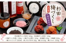 杉田梅づくしセット（しそ漬け・白漬け・赤しそふりかけ・梅しお・梅酢・ドレッシング・ジャム）