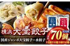 全て国産食材、銘柄豚使用！肉汁あふれる！【横浜大宝餃子】もちもち国産ジャンボ大宝餃子30個ともちもち水餃子40個 老舗餃子メーカー 横浜中華 焼餃子 冷凍餃子 ギョーザ ぎょうざ 大きい 中華 おかず 惣菜 ギフト プレゼント