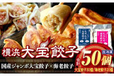 全て国産食材！肉汁あふれる！海老ぎっしり！【横浜大宝餃子】もちもち国産ジャンボ焼き餃子30個と海老餃子20個セット 老舗餃子メーカー 横浜中華 焼餃子 冷凍餃子 ギョーザ ぎょうざ 大きい 中華 おかず 惣菜 ギフト プレゼント