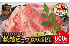【神奈川県産黒毛和牛】かながわブランド認定　極上の黒毛和牛　横濱ビーフ　切り落とし　300g×2