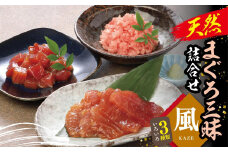 天然まぐろ三昧詰合せ『風』(3種類6袋（各60ｇ×2））