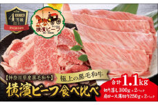 【神奈川県産黒毛和牛】かながわブランド認定　極上の黒毛和牛　横濱ビーフ　食べ比べ　肩ロースすき焼き肉250g×2　切り落とし300g×2