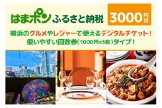 はまポンふるさと納税チケット3000円分（1000円×3枚）