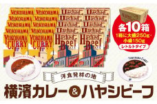 洋食発祥の地　横濱カレー＆ハヤシビーフセット各10箱（1箱に大盛250g・小盛150g）