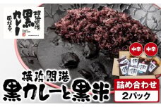 風我亭の横浜開港黒カレーと黒米の詰め合わせ　2パック【中辛2個】