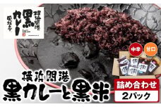 風我亭の横浜開港黒カレーと黒米の詰め合わせ　2パック【中辛1個、甘口1個】