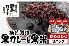 風我亭の横浜開港黒カレーと黒米の詰め合わせ　3パック【中辛3個】