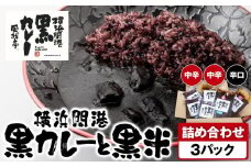 風我亭の横浜開港黒カレーと黒米の詰め合わせ　3パック【中辛2個、辛口1個】