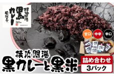 風我亭の横浜開港黒カレーと黒米の詰め合わせ　3パック【辛口1個、中辛1個、甘口1個】