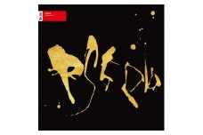 類家心平／RS5pb (LP)