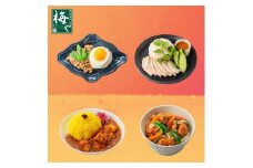 鶏肉専門店梅やのTORIFRO冷凍アジアン鶏総菜4種セット