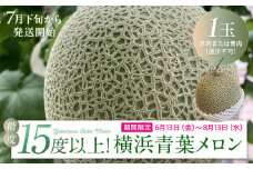 糖度１５度以上！横浜青葉メロン１玉（赤肉または青肉）（7月下旬から発送開始）