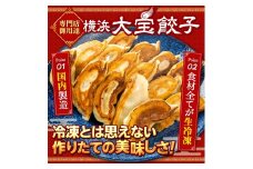 全て国産食材、銘柄豚使用！肉汁あふれる！【横浜大宝餃子】もちもち国産ジャンボ大宝餃子120個（30個×4）老舗餃子メーカー 横浜中華 焼餃子 冷凍餃子 ギョーザ ぎょうざ 大きい 中華 おかず 惣菜 ギフト プレゼント
