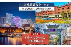 横浜市 後から選べる旅行Webカタログで使える！ 旅行クーポン（30,000円分） 旅行券 宿泊券