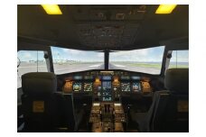A320フライトシミュレーター60分操縦体験