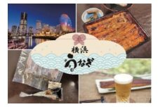 国産うなぎ蒲焼1枚