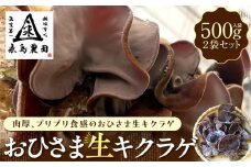 永島農園 おひさま生キクラゲ500ｇ入り袋×2袋セット
