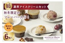 ハンデルスベーゲン 無添加アイスクリーム / 季節の６個セット【秋冬】季節限定 フォレノワール ヘーゼルナッツ 丹波栗 ベリーバイベリー カナダメープル＆ダブルナッツ あまおう苺ミルク