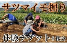 サツマイモ掘り体験チケット（６株分）