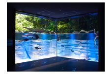 カワスイ 川崎水族館ペアチケット　
