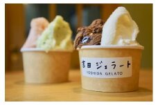 小さなジェラート工房「吉田ジェラート」が作るジェラートおまかせ８個セット